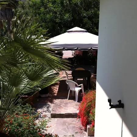 Le 1 바리사르도